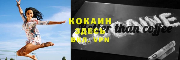 шишки Балахна