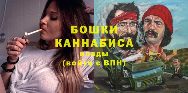 шишки Балахна