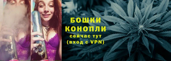 шишки Балахна